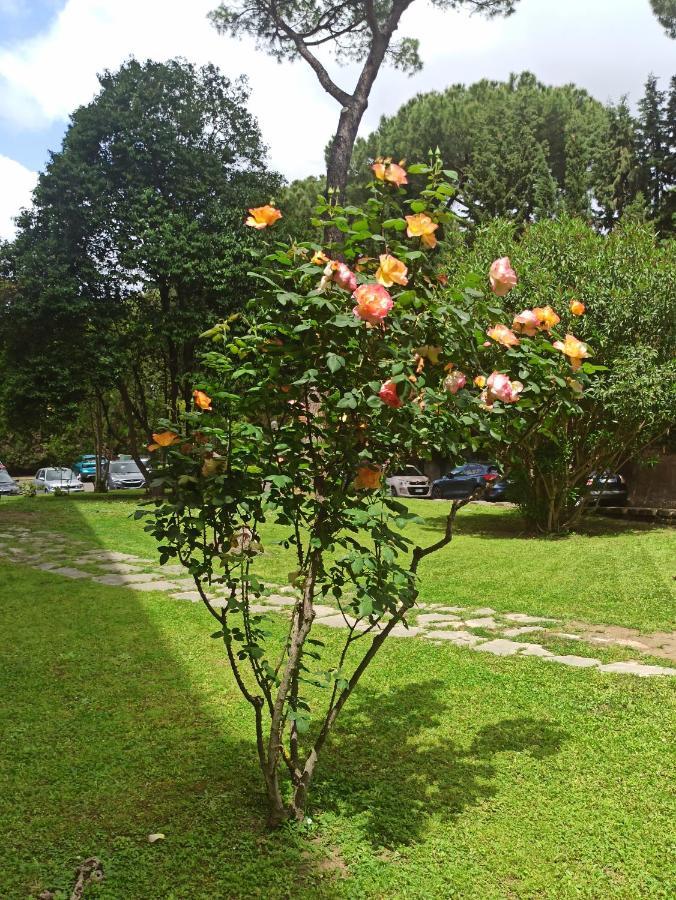 Aurelia Antica Terrace Apt Free Pool And Parking Rzym Zewnętrze zdjęcie